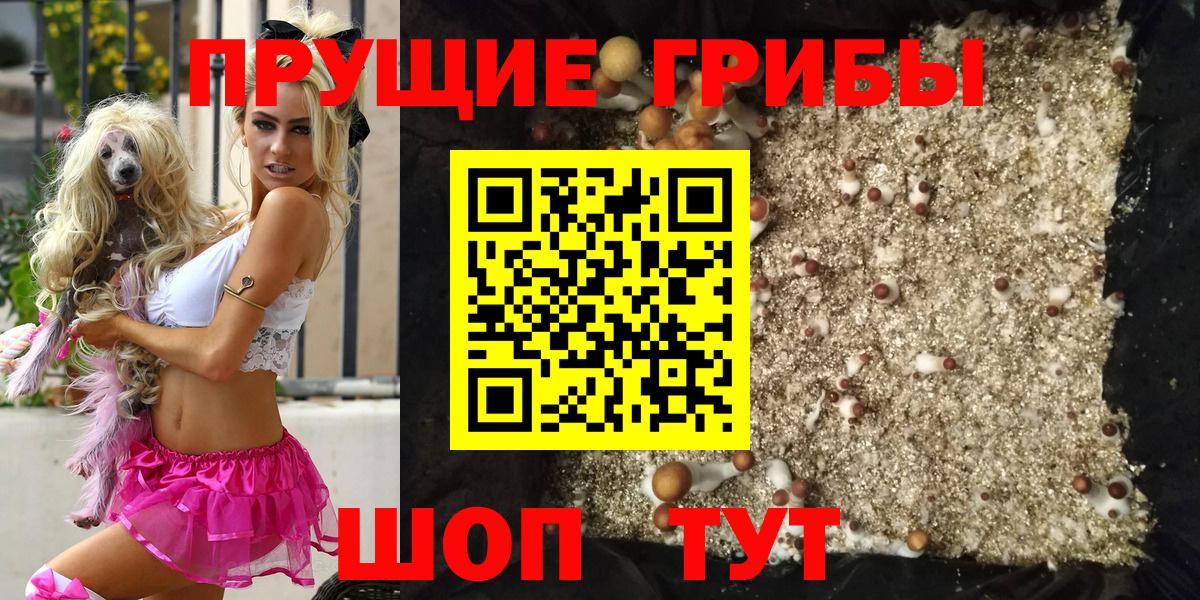наркотики  Вход с VPN  Заводоуковск  Псилоцибиновые грибы GOLDEN TEACHER 
